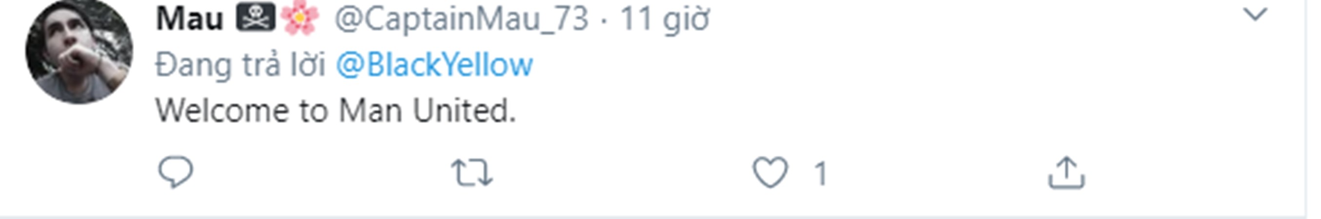 Erling Haaland will 'definitely' be staying at Dortmund - Bóng Đá