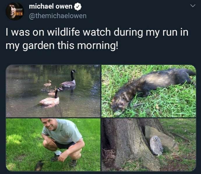 Những bài đăng trên MXH cho thấy siêu sao bóng đá cũng có lúc đầu óc 'biêng biêng' - Bóng Đá