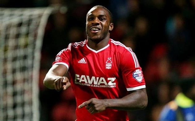 Sinh nhật Michail Antonio - Bóng Đá