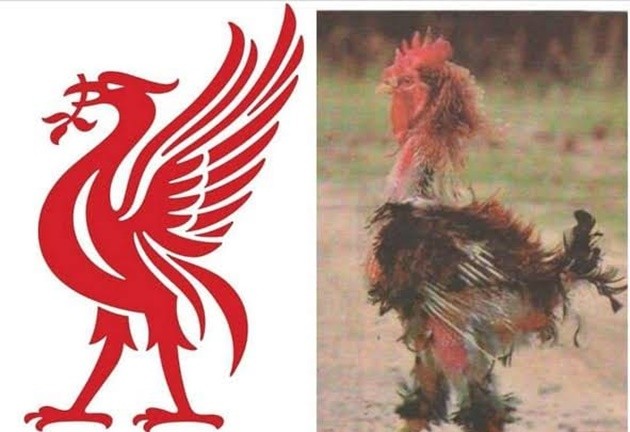 Ảnh chế Liverpool thua Chelsea - Bóng Đá