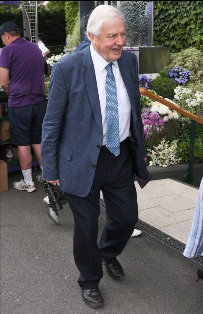 Man Utd legends Sir Alex Ferguson and David Beckham spotted at Wimbledon as stars come out to watch blockbuster Federer vs Nadal clash - Bóng Đá