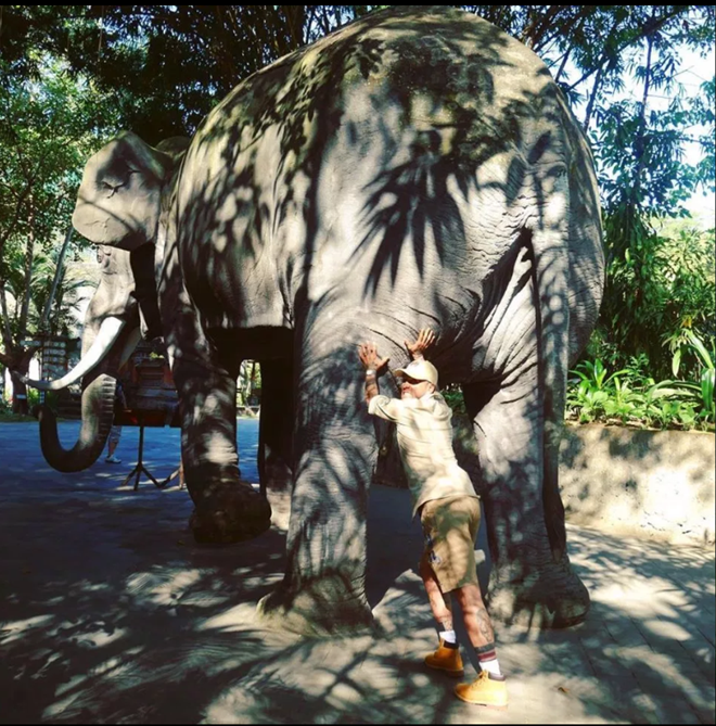 Arsenal target Dani Alves goes more Steve Irwin than Denis Irwin as he shows off ‘new job’ as zookeeper - Bóng Đá