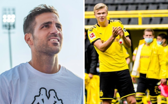 ‘It’s like a training session!’ – Cesc Fabregas unimpressed with Bundesliga return - Bóng Đá