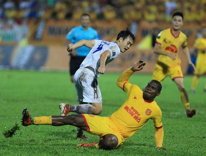 Chuyên gia Việt : 