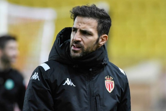 Cesc Fabregas responds to Arsenal fan calling him a snake over Chelsea badge pat - Bóng Đá