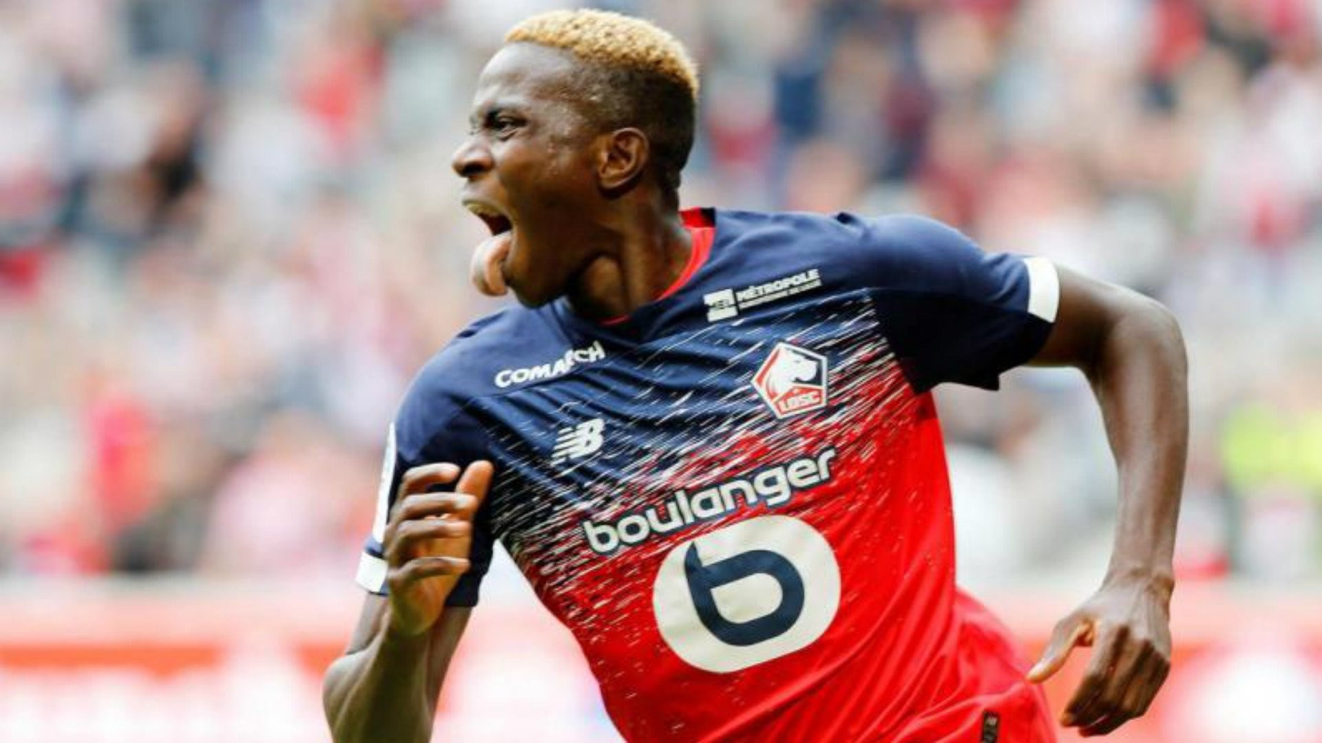 Lille receive £75m for Liverpool target Osimhen - Bóng Đá
