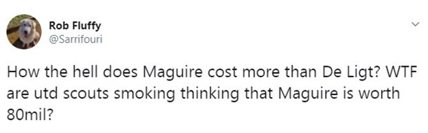 CĐV Man Utd tức điên vì De Ligt rẻ hơn Maguire - Bóng Đá