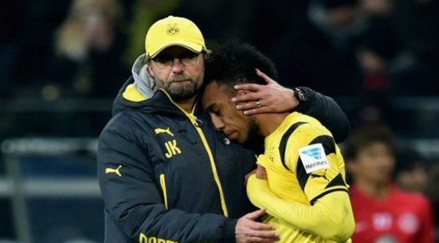 Thượng tầng keo kiệt, CĐV Tottenham 