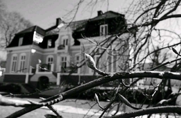 Ibrahimovic - từ đôi chân đầy sẹo đến ngôi nhà trong mơ - Bóng Đá