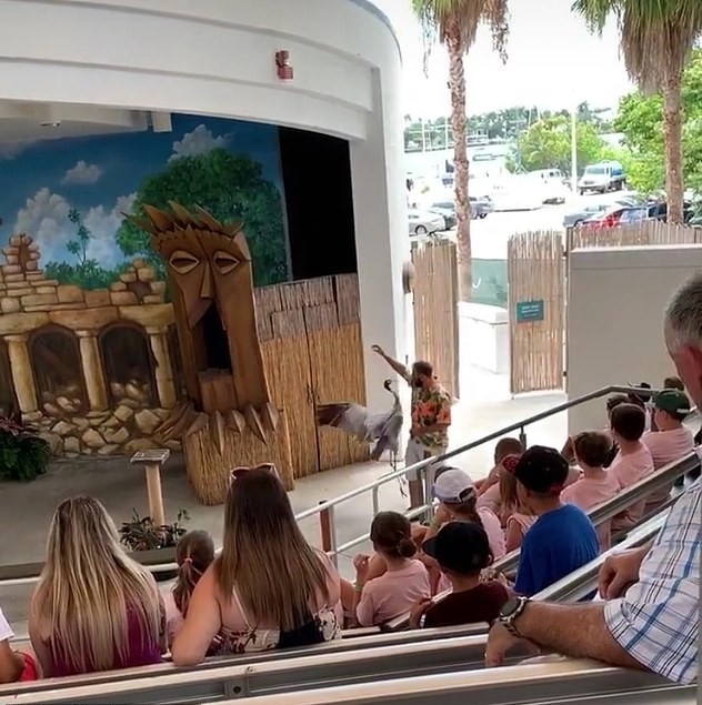 Bernardo Silva và dàn sao NHA tận hưởng kỳ nghỉ (Daily Mail) - Bóng Đá