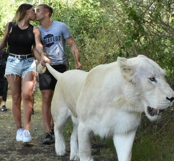 Bạo gan, cựu sau Barca tình tứ cùng bạn gái trước mặt sư tử - Bóng Đá