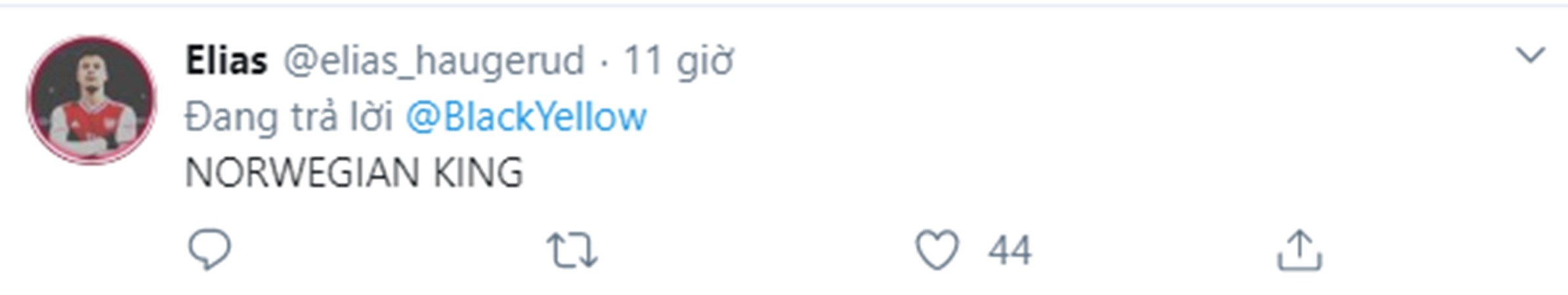 NHM Dortmund nói gì khi Haaland ghi bàn? - Bóng Đá