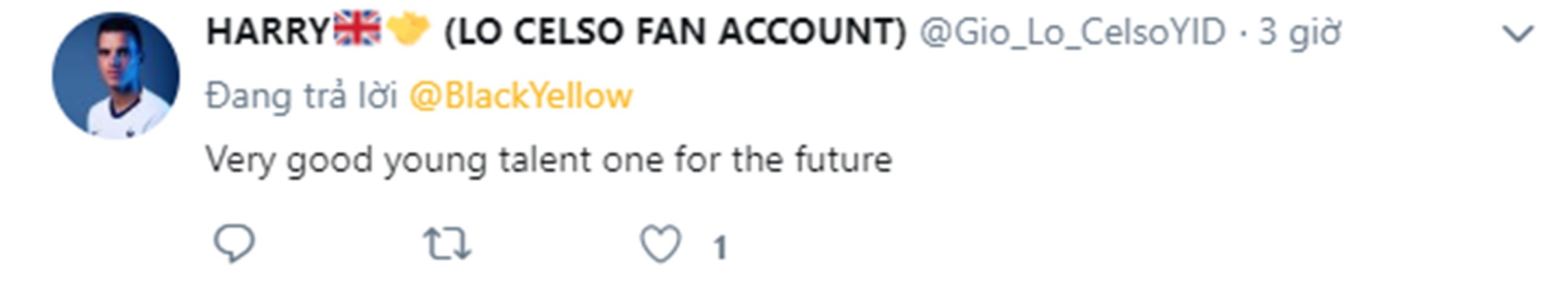 NHM Dortmund khen Haaland - Bóng Đá