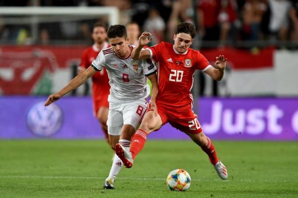 Hungary vs Wales - Bóng Đá