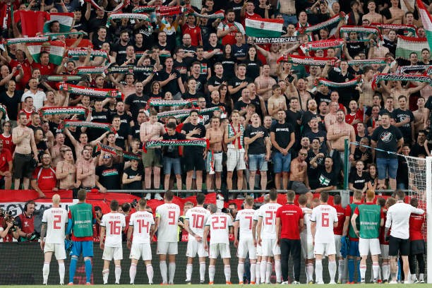Hungary vs Wales - Bóng Đá