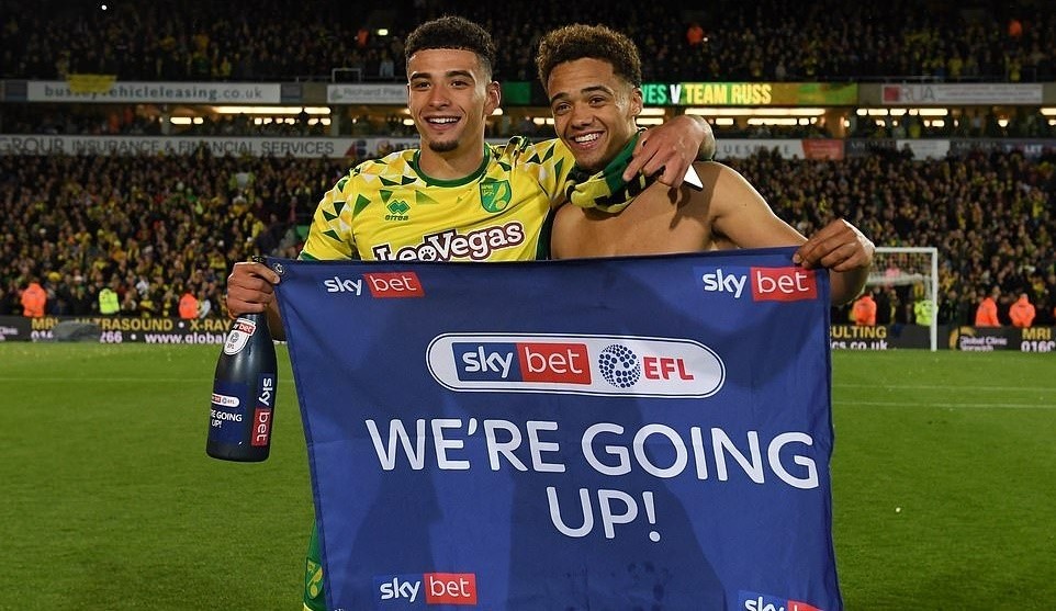 Teemu Pukki - Hoàng yến 