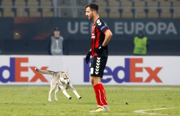 Trận đấu ở Europa League bị gián đoạn vì 