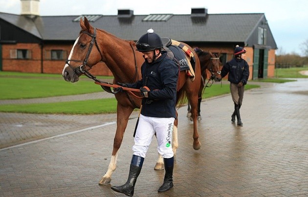 Hà Đức Chính - tiền đạo khiến NHM Việt Nam chia làm 2 phe - Bóng Đá