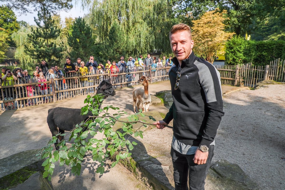 Marco Reus trở lại tập luyện - Bóng Đá