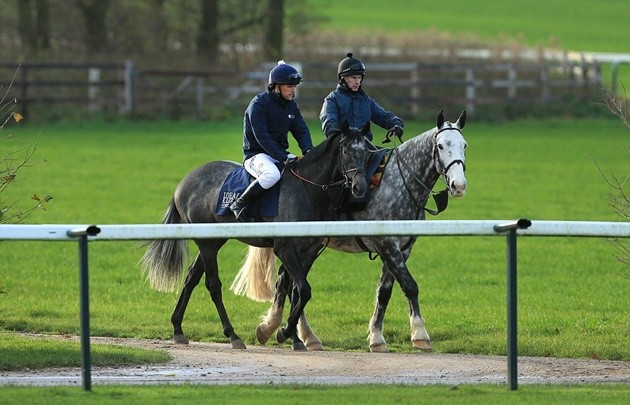 Hà Đức Chính - tiền đạo khiến NHM Việt Nam chia làm 2 phe - Bóng Đá