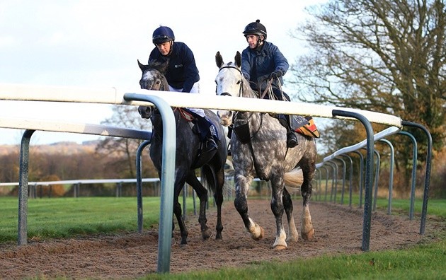 Hà Đức Chính - tiền đạo khiến NHM Việt Nam chia làm 2 phe - Bóng Đá