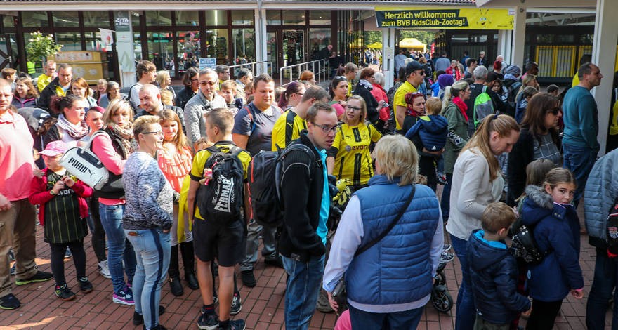 Chấn thương, hai 'anh đại' Dortmund rủ nhau vào sở thú - Bóng Đá