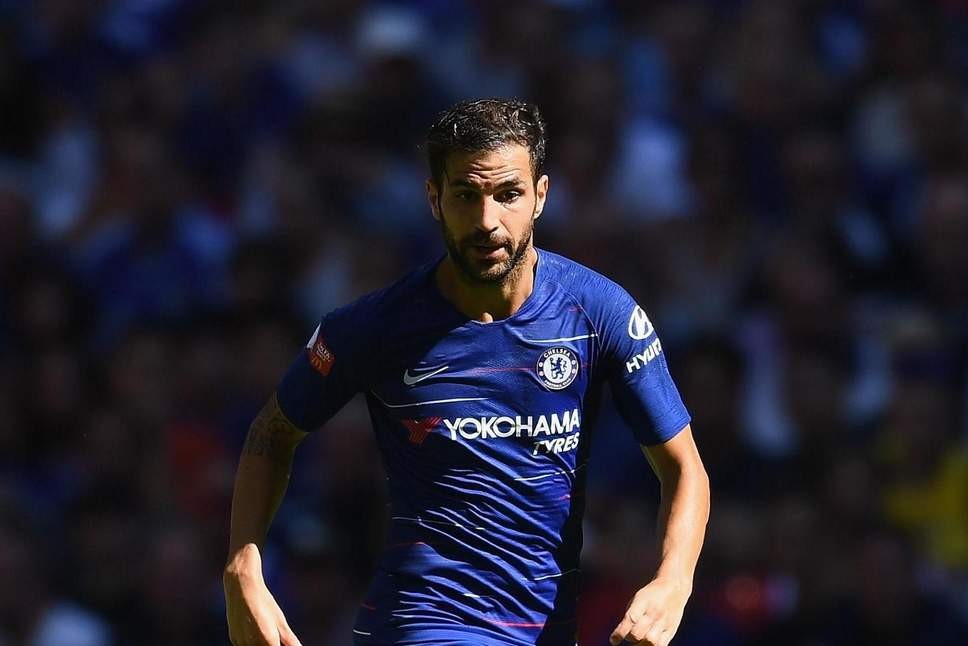 Atletico mua Fabregas - Bóng Đá