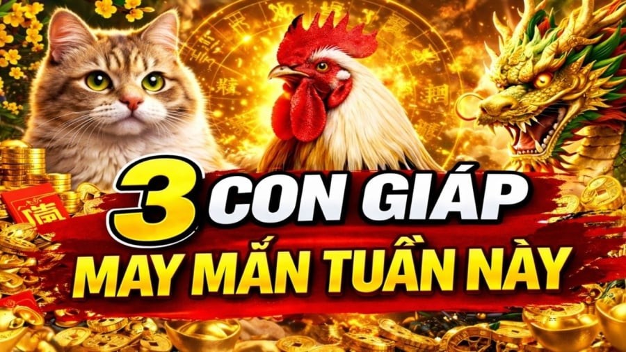 5 ngày đầu tháng 1-5/5: Lội ngược dòng khốn khó, 3 con giáp tiền bạc đổ đầy