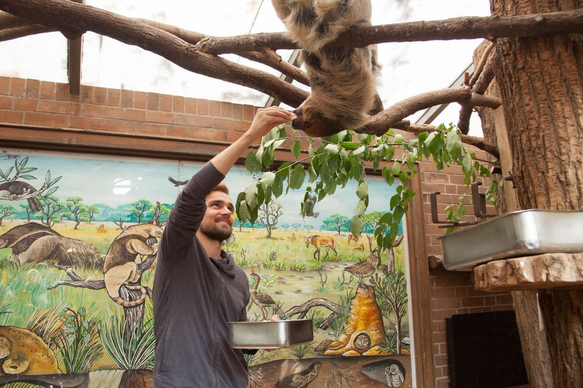 Chấn thương, hai 'anh đại' Dortmund rủ nhau vào sở thú - Bóng Đá