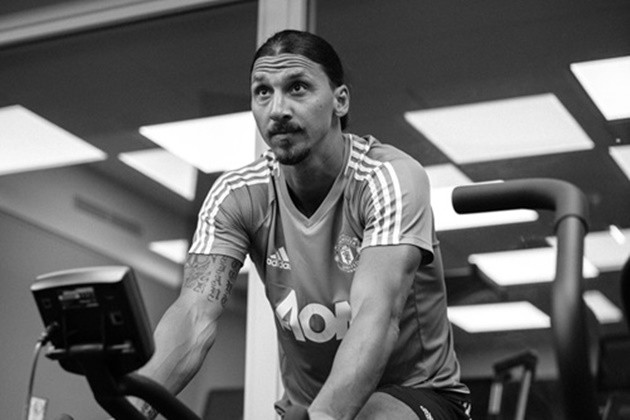 Ibrahimovic ngạo nghễ: 