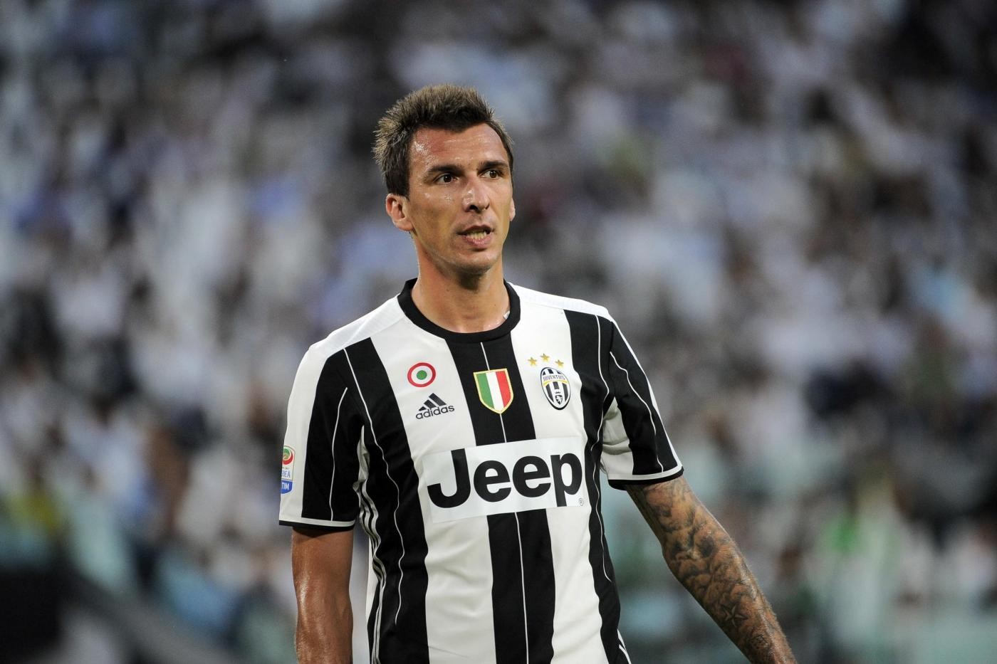 HLV Allegri: 