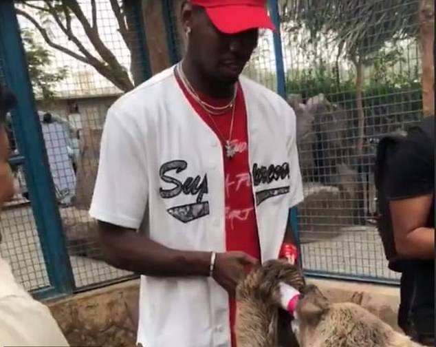 Du hí Dubai, Pogba đại thắng marathon với... rùa - Bóng Đá