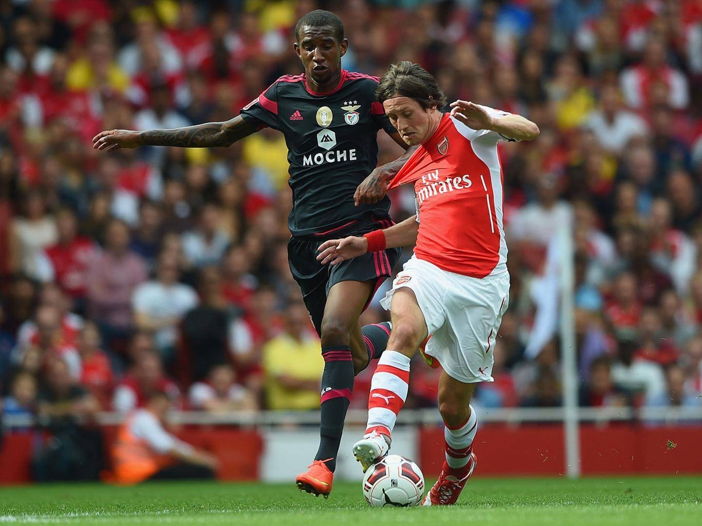 Tomas Rosicky: Yêu như tha thiết, thế vẫn còn chưa đủ! - Bóng Đá