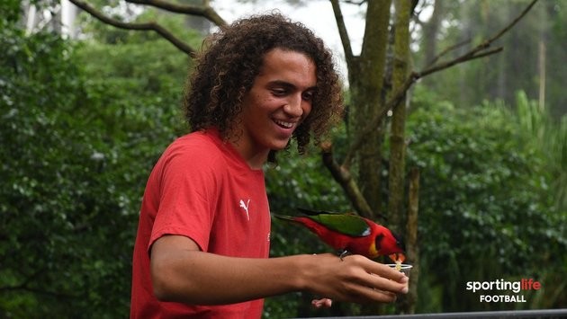 Top 5 sao sân cỏ mê mẩn thú chim cảnh - Bóng Đá