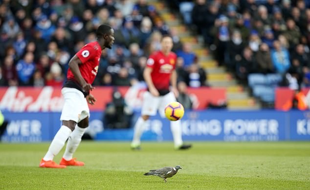 Những điều có thể bỏ lỡ vòng 25 Premier League tối qua: Mảnh giấy 'diệt' Quỷ đỏ! - Bóng Đá