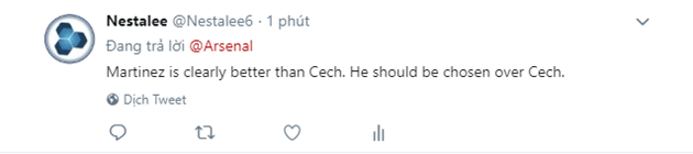 Đấu Newcastle, fan Arsenal 