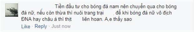 'Hãy chuyển tiền hết cho bóng đá nữ' - Bóng Đá