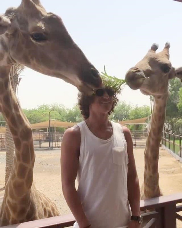 David Luiz biến quả tóc xù của thành món ăn cho hươu cao cổ - Bóng Đá