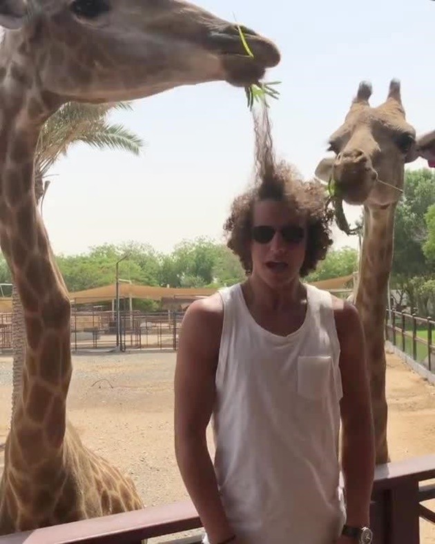 David Luiz biến quả tóc xù của thành món ăn cho hươu cao cổ - Bóng Đá
