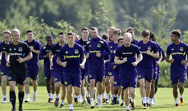 Koeman 