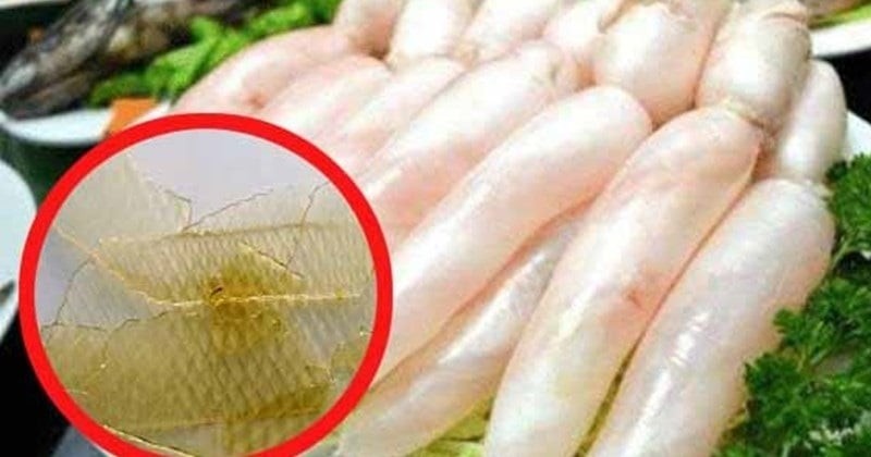 Bong bóng cá là một trong những bộ phận ít được chú ý nhưng lại có giá trị dinh dưỡng cao. Đây là cơ quan giúp cá điều chỉnh độ nổi khi bơi, nhưng khi chế biến đúng cách, nó trở thành nguyên liệu rất bổ dưỡng.

