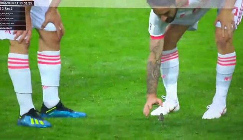 Isco được tán dương vì cứu chú chim nhỏ ở trận Tây Ban Nha thắng Iran - Bóng Đá