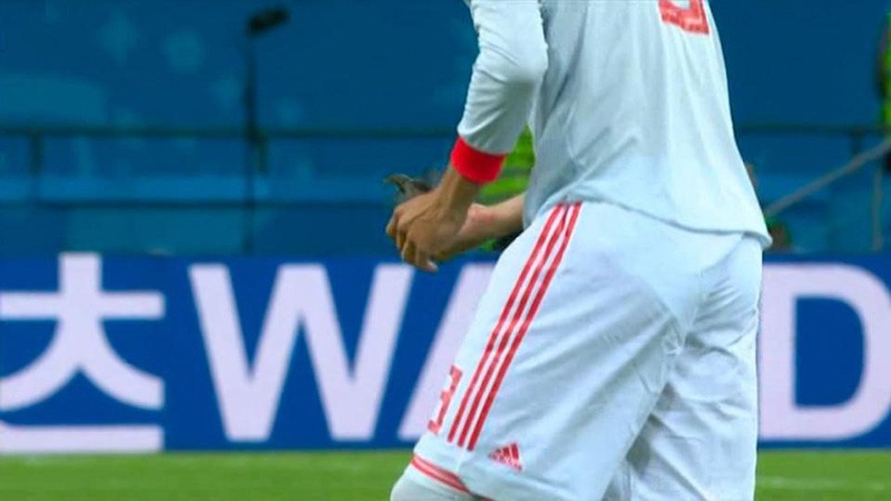 Isco được tán dương vì cứu chú chim nhỏ ở trận Tây Ban Nha thắng Iran - Bóng Đá