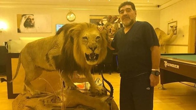  - Bóng Đá