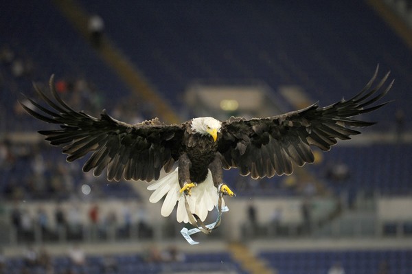 Lazio 0-0 SPAL: Đại bàng không thể cất cánh - Bóng Đá