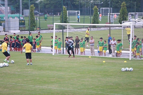 CĐV 