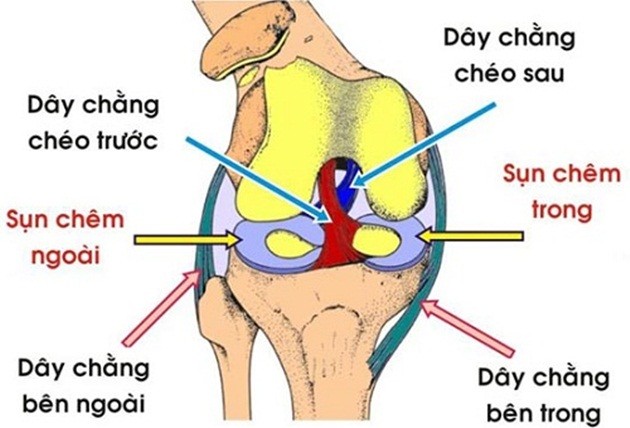 Ibrahimovic gục ngã và báo động về chấn thương dây chằng đầu gối tại Anh - Bóng Đá