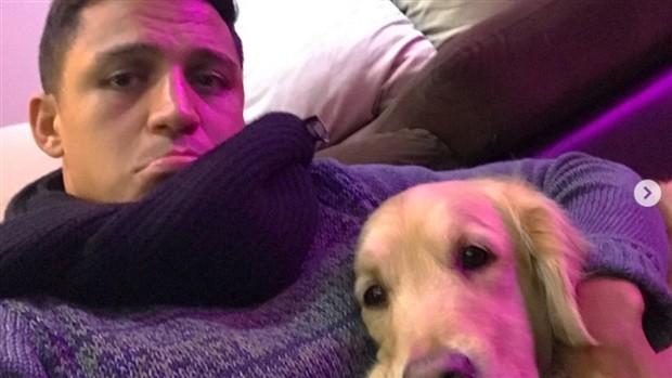 Fan Arsenal nói gì về khi Sanchez bị 'bệnh'? - Bóng Đá