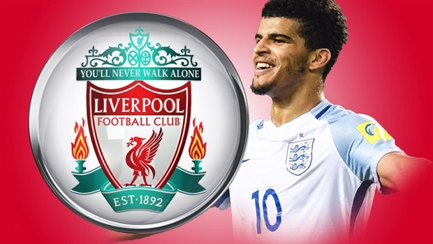 Fan Chelsea 'sôi máu' vì Solanke đá quá... hay - Bóng Đá