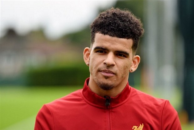 Sao mai Solanke CHÍNH THỨC ra mắt Liverpool - Bóng Đá